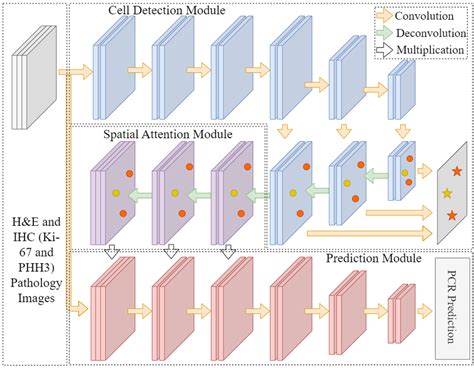 Deep Learning System 的图像结果