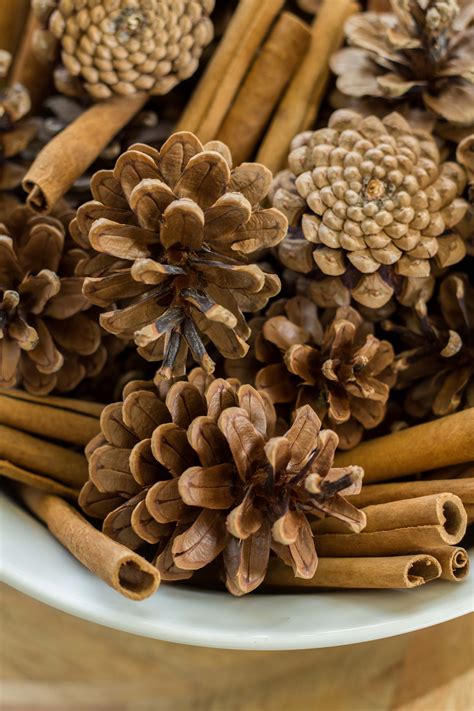 DIY Cinnamon and Clove Pinecones - Handmade Farmhouse