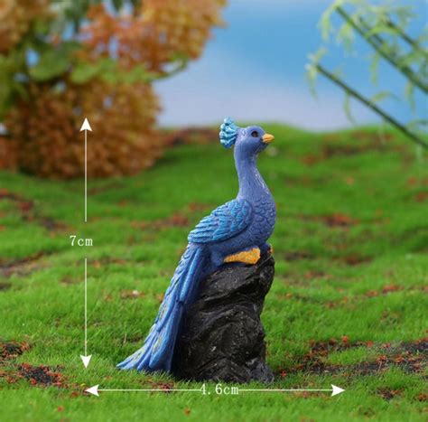 Blue Peacock Seating on stone