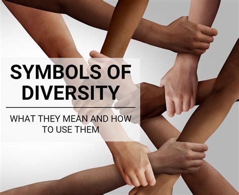Diversity 的图像结果