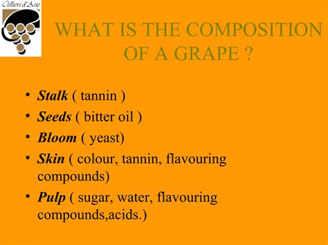 Wine Making Process 的图像结果