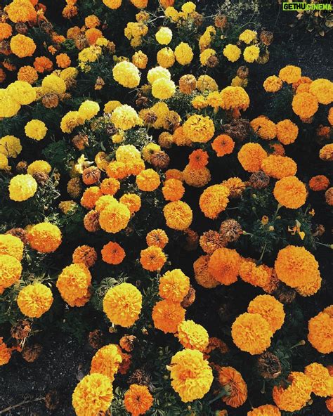 Lucy Luna Wiki, Biography, Age, Gallery, Spouse and more