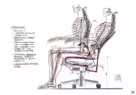 不同椅子的人体工程学尺寸图 - 知乎