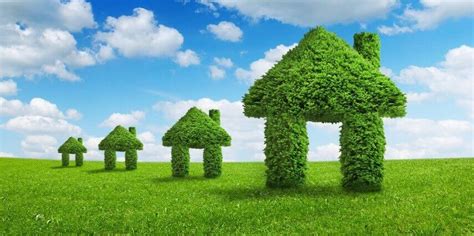 Why should you go green while designing your home