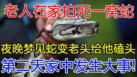 【中国故事】老人在家拍死一窝蛇，夜晚梦见蛇变老头给他磕头，第二天家中发生大事！