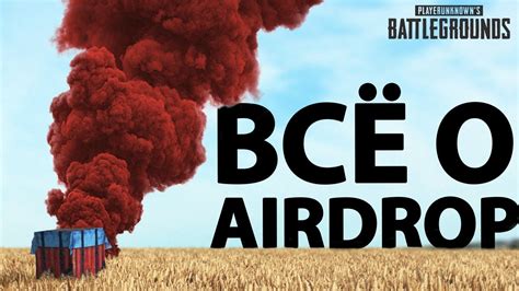 Опыт дефолтного миньона за 237 дней — Teletype