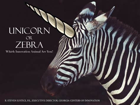 Ecosystem Information About Zebras