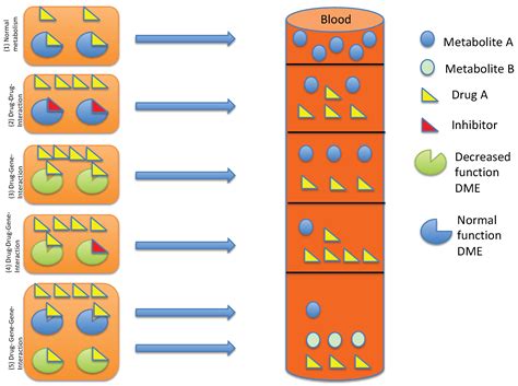 The Influence of Pharmacogenetics on the Clinical Relevance of ...