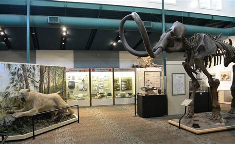 Silver River Knap-In & Prehistoric Arts Festival, 1445 NE 58th Ave ...