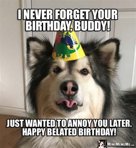 85 Happy Belated Birthday Memes for When You Just Forgot - Winkgo