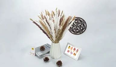 Company Overview - Yunhua Preferred (xiamen) Import And Export Trade Co ...