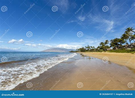Hawaii`s sunny beaches stock image. Image of ocean, outdoor - 263684107