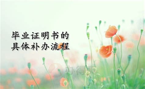 大专毕业证丢了好几年了还可以补吗？具体流程有哪些？ - 知乎