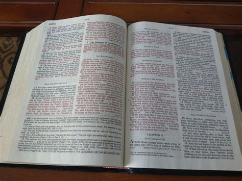 NASB Open Bible Genuine leather | eBay