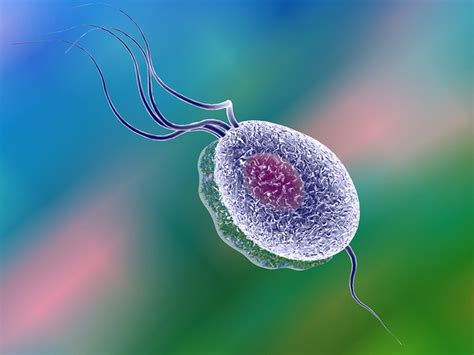 Chlamydia in pregnancy: How STDs affect your baby | BabyCenter