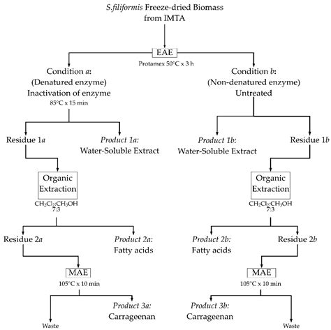 Environmentally Friendly Valorization of Solieria filiformis ...
