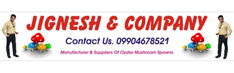 Pleurotus Sajourcaju Oyster Mushroom Spawns :: Jignesh & Company