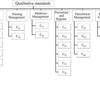 Network Research Unit 的图像结果