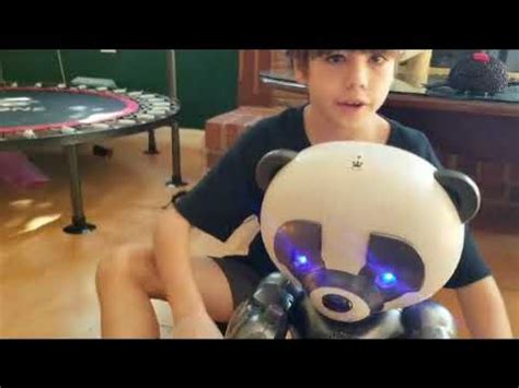 Rezultat imagine pentru Robopanda Features