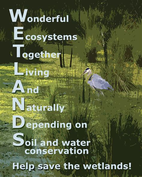 Efforts To Protect And Preserve Natural Resources On Reservations And Lands