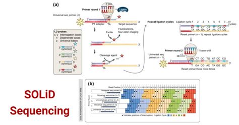 Image result for Solid Sequencing Explained