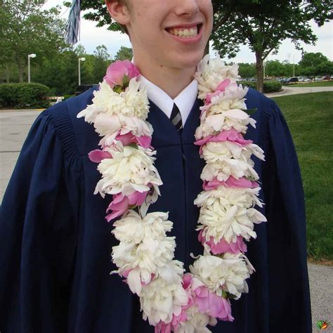 20 DIY Graduation Ideas | Diana Rambles