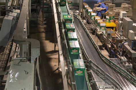 生产工艺介绍和包装车间流水线|青岛啤酒博物馆|原浆酒|生产工艺_新浪新闻