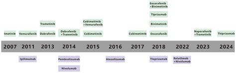 Advances in Immunotherapy and Targeted Therapy of Malignant Melanoma