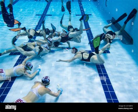 Underwater Hockey 的图像结果