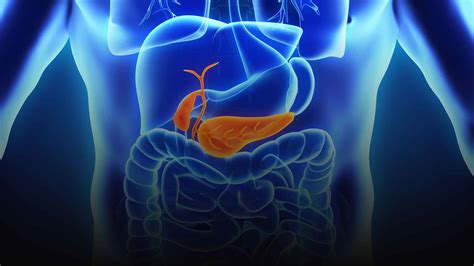 Qué es la Colangiopancreatografía Retrógrada Endoscópica (ERCP ...
