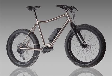 Fat e bike online