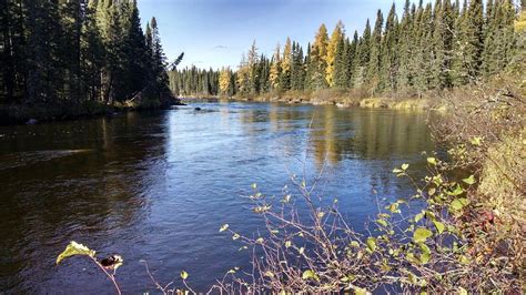 BIRCH BARK LODGE (Pickle Lake) - Specialty Inn Reviews & Photos ...