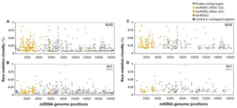 Immortalization of Different Breast Epithelial Cell Types Results in ...