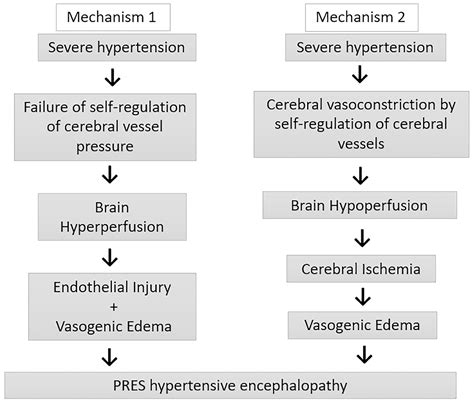 SciELO Brasil - Reversible posterior encephalopathy syndrome in a 10 ...