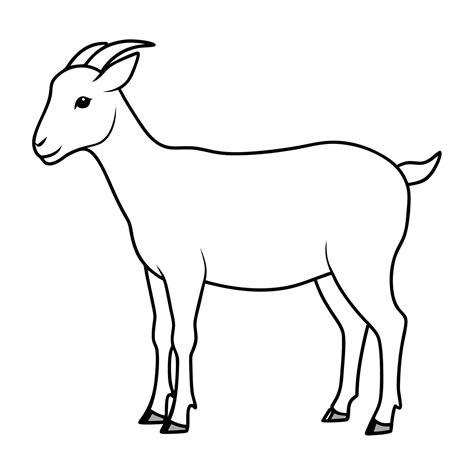 Goat outline sketch design 48428643 Vector Art at Vecteezy