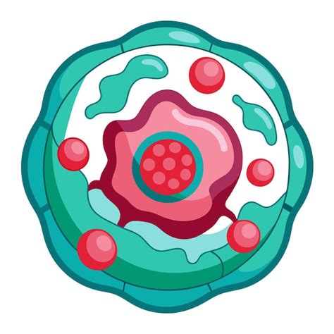 Page 16 | Cell Structures Vectors & Illustrations for Free Download