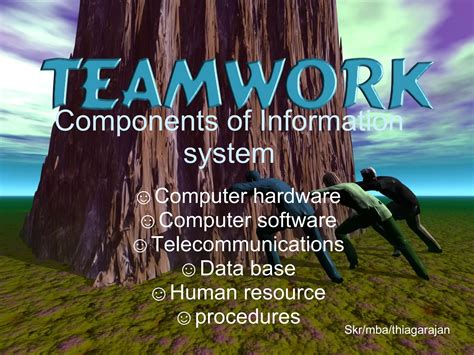 Information System Components 的图像结果