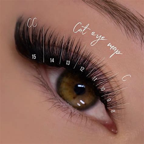 Cat Eye Lash Map | Pestañas postizas naturales, Extensiones de pestañas ...