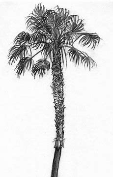 tutorial how to draw pencil colour