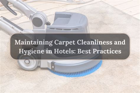Maintaining Carpet Cleanliness and Hygiene in Hotels: Best Practices ...