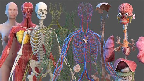 Image result for Anatomy of a Function in JavaScript