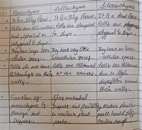 DIFFERENTIATE BETWEEN PARENCHYMA, COLLENCHYMA & SCLERENCHYMA ON THE ...