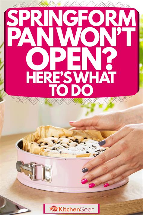 Image result for Leaky Springform Pan