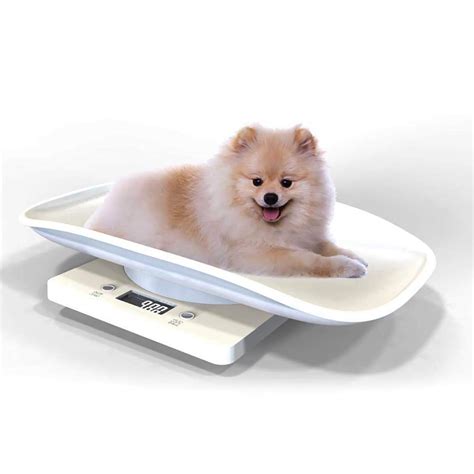 Nuscen Puppy Scales 10KG Digital Pet Scale,Puppy Baby Weighing Scales ...