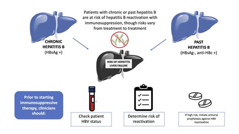 Hepatitis B Virus Reactivation with Immunosuppression: A Hidden Threat?