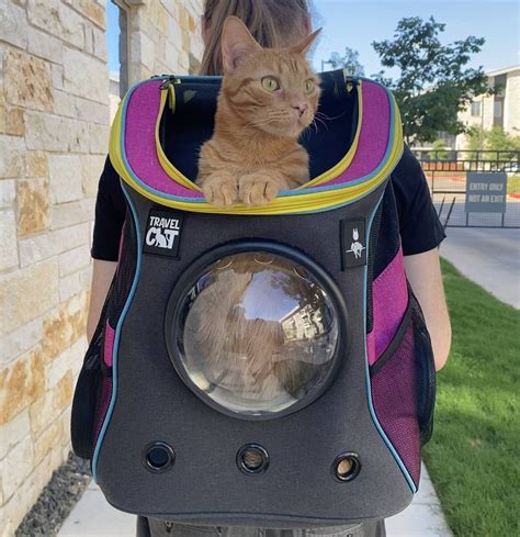 Stray x Travel Cat Backpack - Limited-Edition – Travel Cat | Your Cat ...