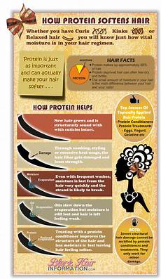 American Hair Information by How Protein Softens Hair Infographic American Hair Information