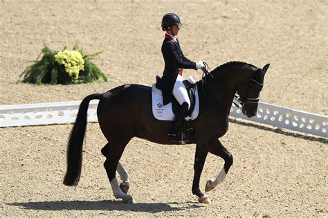 What Are the Olympic Equestrian Sports?