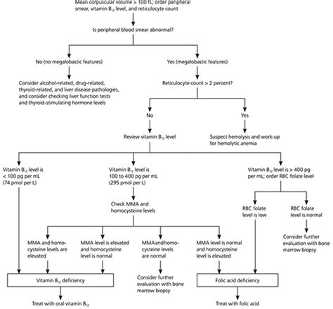 MCH Blood Test - Normal Range, Low and High MCH
