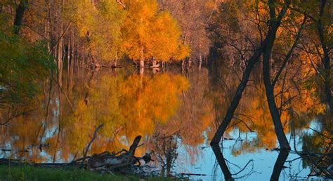Burn Permit Application | Chippewa County, MN